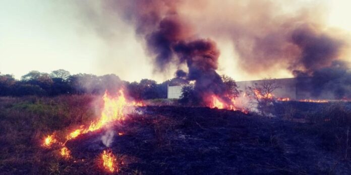 Defesa Civil e Bombeiros atendem mais um incêndio próximo à área de preservação em TL