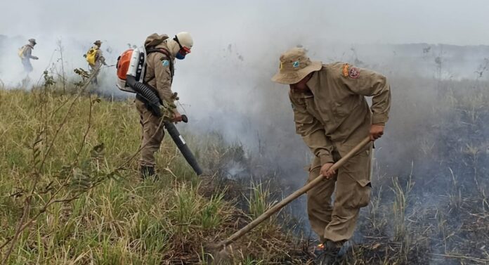 Prevenção aos incêndios florestais é tema de workshop nessa terça e quarta, no auditório da Famasul