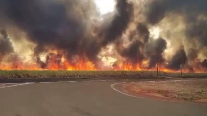 Governo e setor de bioenergia intensificam estratégias de prevenção e combate a incêndios em canaviais de MS