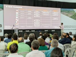 Imasul conduzirá audiência pública sobre licenciamento ambiental para projeto de celulose da Arauco em Inocência