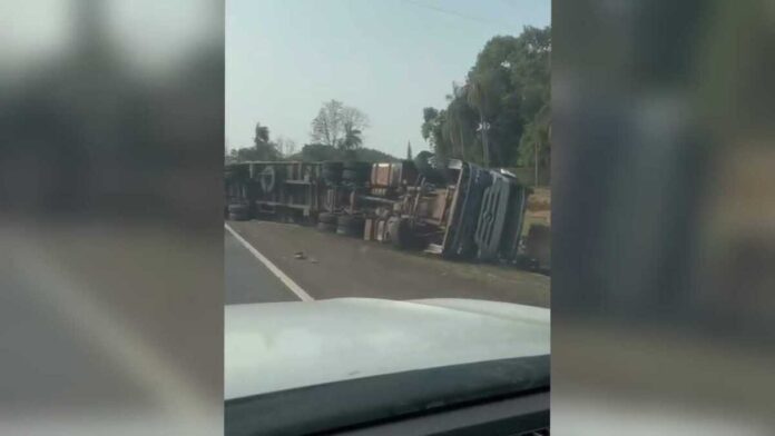 Carreta com silagem tomba em curva da BR-262, próximo a Terenos (vídeo)