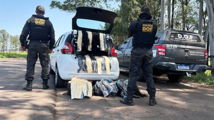 DOF apreende carga de cabelo humano avaliada em R$ 1,3 milhão em Ponta Porã (vídeo)