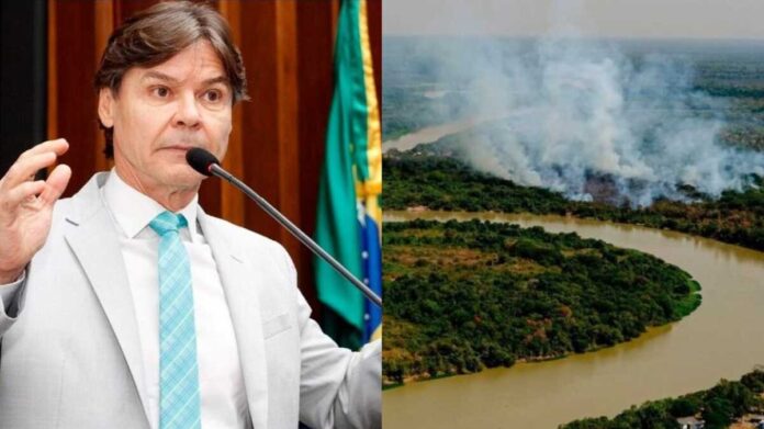 Deputado de MS detona lei que permite pecuária em APP no Pantanal de MT: 'total absurdo'