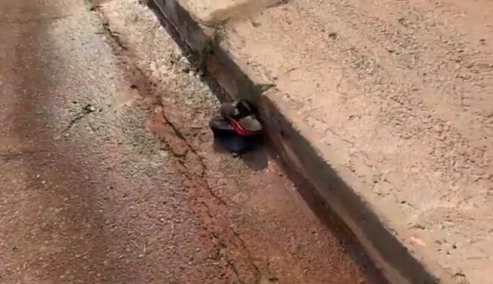 Homem mata rival e tenta tirar a vida de mais 2 após festa em Guia Lopes da Laguna