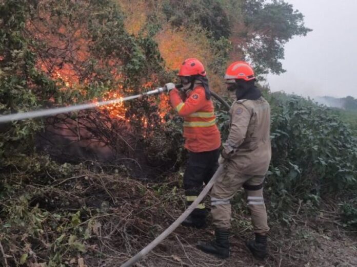Incêndios florestais se intensificam em biomas de MS