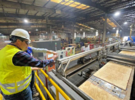 Multinacional chilena Arauco investirá R$ 25 bi em nova fábrica de celulose em Inocência