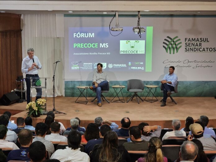 Novilhos precoces respondem por 40% do total de abates de bovinos nas indústrias de MS