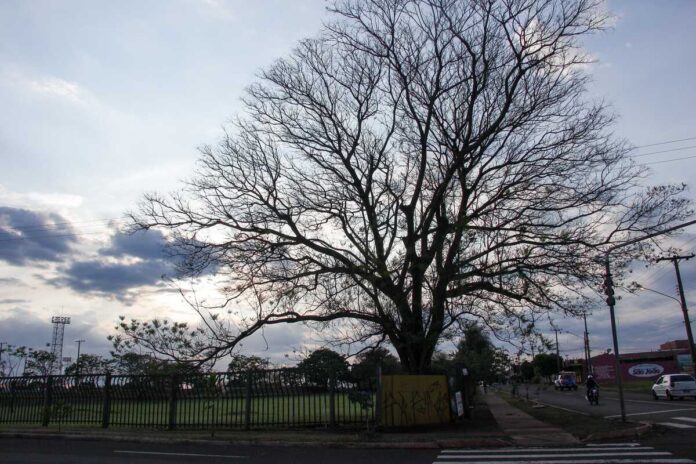 Temperatura volta a subir e termômetros registram 42°C em MS