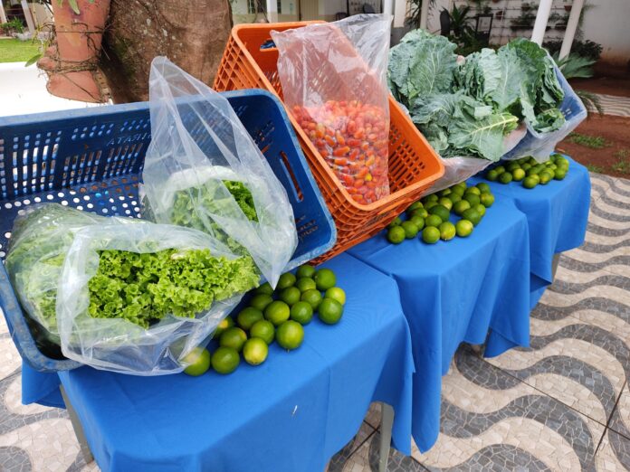 Alimentos da agricultura familiar são destinados a Lar de idosos por meio de parceria entre Semadesc, Agraer e Governo federal