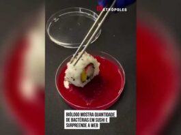 Biólogo mostra quantidade de bactérias em sushi e surpreende web (vídeo)