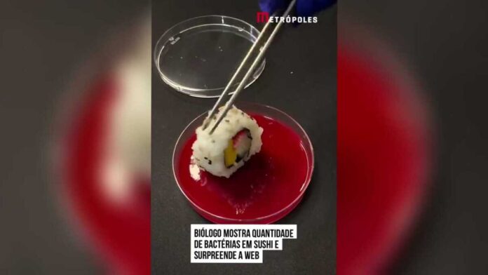 Biólogo mostra quantidade de bactérias em sushi e surpreende web (vídeo)