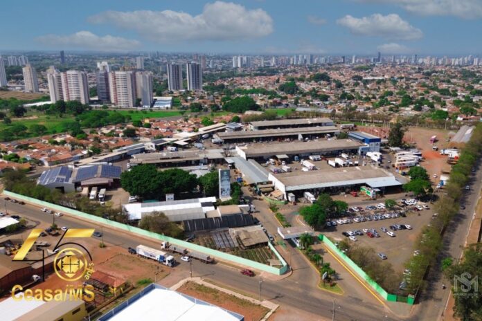 CEASA/MS completa 45 anos abastecendo com qualidade a saúde das famílias sul-mato-grossenses