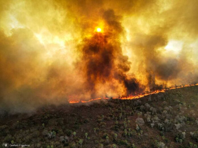 Climatologista prevê fim do Pantanal e outros biomas até 2070
