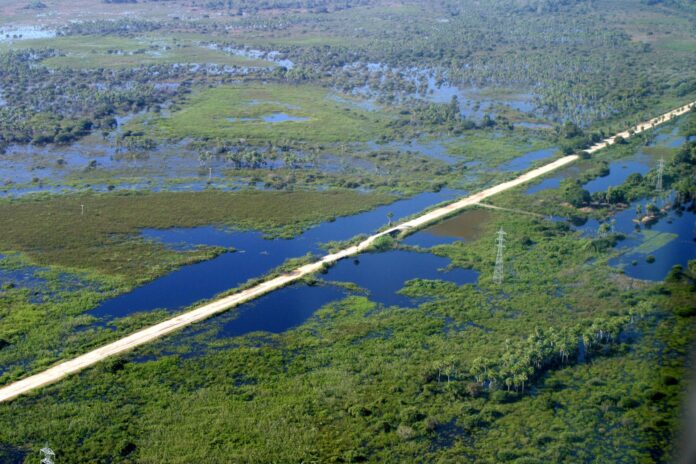 Decisão do STF sobre critério para compensação de reserva legal destrava Código Florestal e beneficia Pantanal, diz secretário