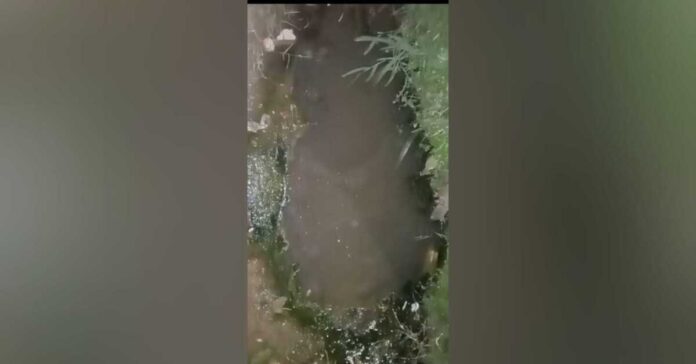 Esgoto transborda e moradores sofrem com mau cheiro na porta de casa no São Conrado (vídeo)