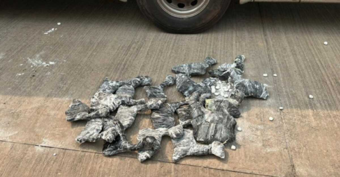 Fetos de lhamas são apreendidos em ônibus clandestino em Corumbá Fetos de lhamas são apreendidos em ônibus clandestino em Corumbá