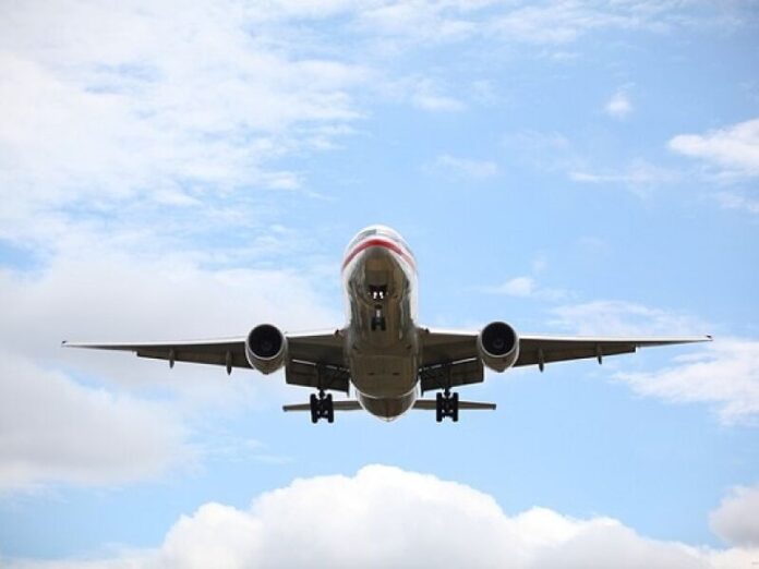 Governo apresenta amanhã novas regras sobre o transporte aéreo de animais