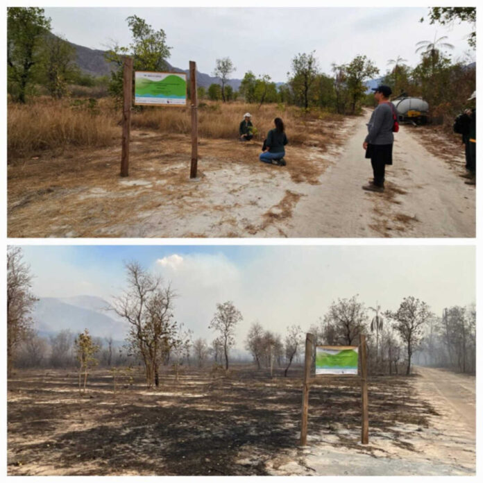 Incêndio avança e atinge área que vinha passando por recuperação na Serra do Amolar