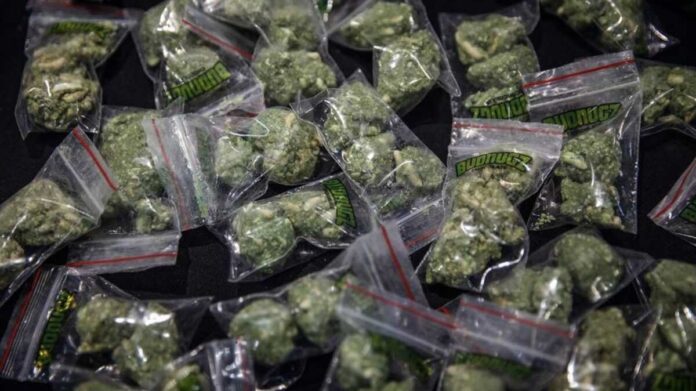 Mãe encontra maconha em mochila e denuncia filho por tráfico de drogas em Dourados