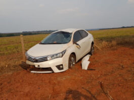 Motorista se distrai com pet e capota veículo na MS-316, em Paraíso das Águas