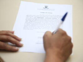 Prefeitura de Campo Grande empossa 448 novos professores para a Rede Municipal de Ensino