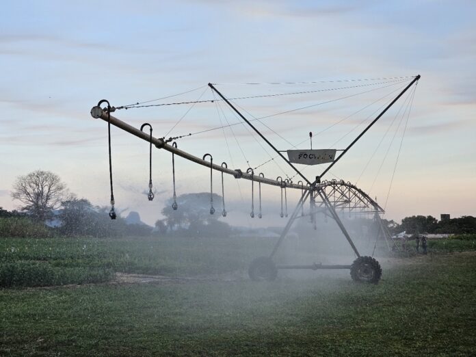 Primeiro Polo de Agricultura Irrigada de MS abrange 26 municípios nas regiões Centro e Sul