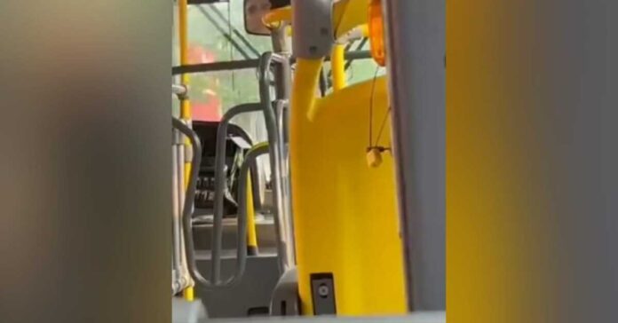 Sem 'Segredos do Busão' passageira recorre a página para encontrar crush do ônibus (vídeo)