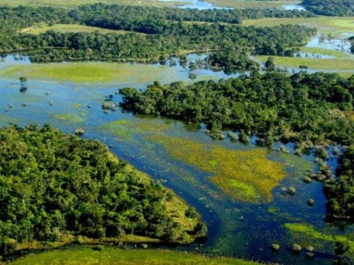 Campo Grande vai sediar evento com foco na conservação do Pantanal em novembro