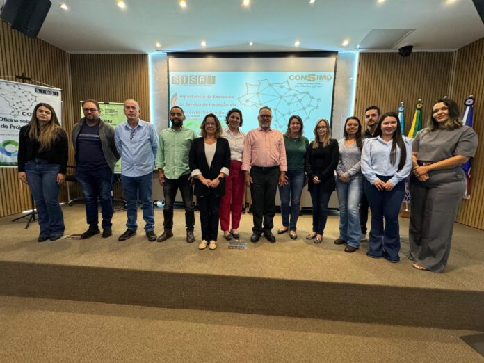 Consórcio Sul Fronteira apresenta oficina sobre Projeto CONSIM