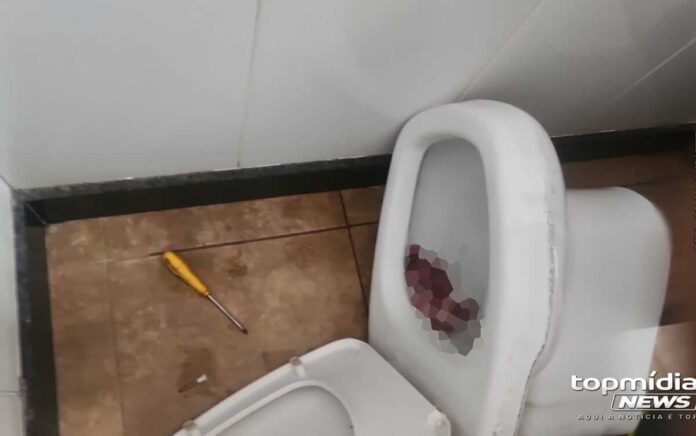 Feto encontrado em vaso de estabelecimento tinha entre 3 e 4 meses