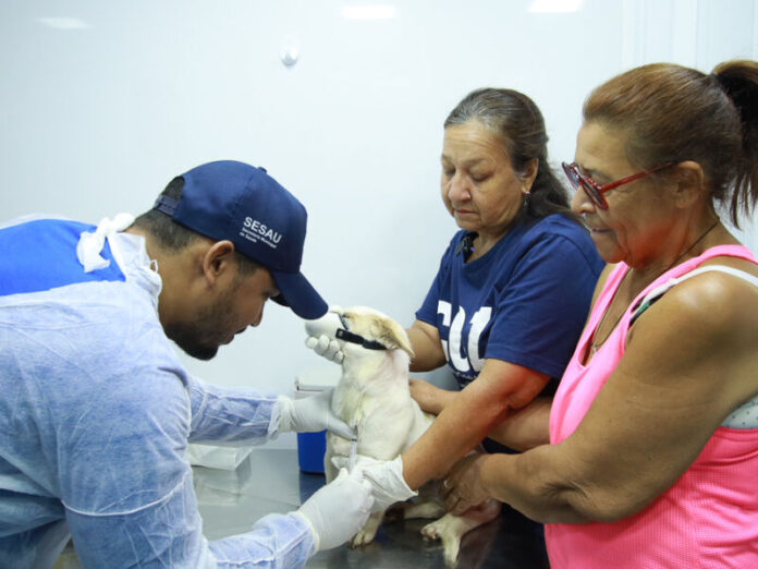 Leve seu pet! Sesau realiza plantão de vacinação contra a Raiva até às 15h