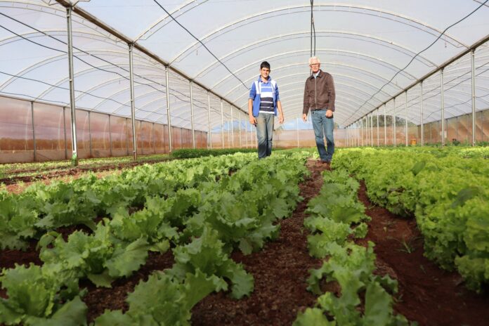 Programa de Residência Agrária que qualifica recém-formados para atuar na agricultura familiar de MS recebe 40 propostas