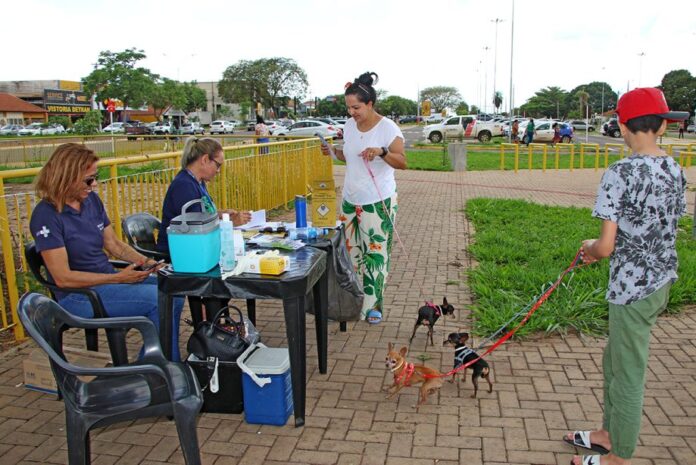 Secretaria de Saúde realizará mais um plantão de vacinação antirrábica na Feira Central