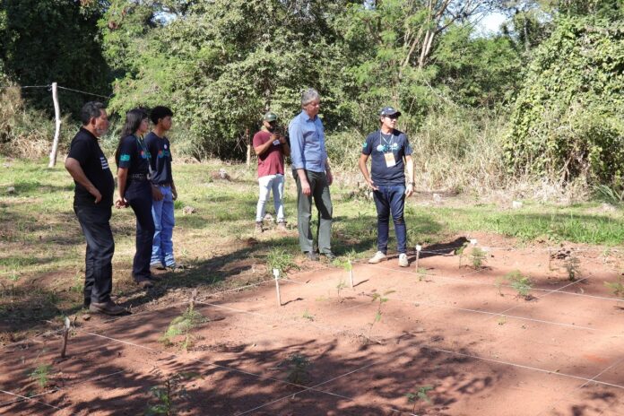 TECNOLOGIA: Sementes de inovação plantadas há um ano no Pantanal começam a dar frutos