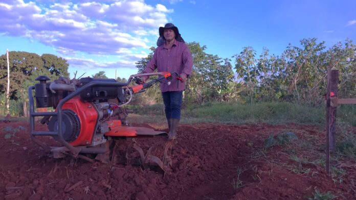 Com R$ 5,1 milhões movimentados no primeiro semestre, Agraer projeta novo recorde nas vendas da agricultura familiar em 2025