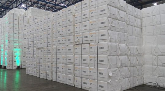 Exportações de MS totalizam US$ 5,28 bilhões no primeiro semestre de 2025, com destaque para celulose e carne bovina