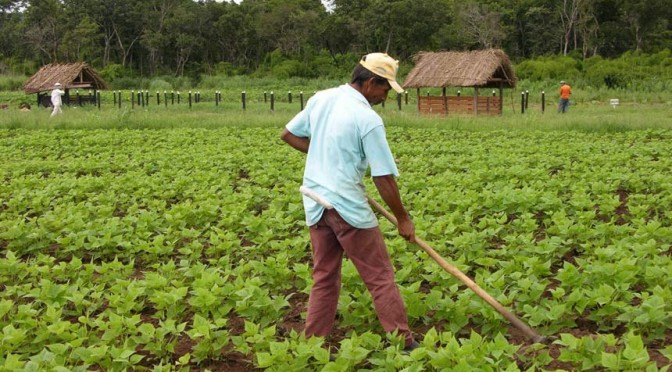 Mato Grosso do Sul sedia nos meses de julho e agosto a 1ª Conferência de Assistência Técnica e Extensão rural