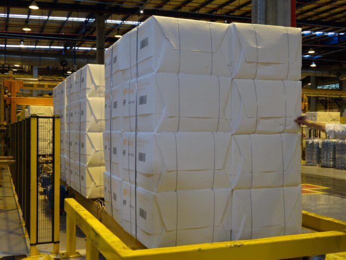 Exportações de MS totalizam US$ 6,3 bilhões no ano, puxadas por celulose, soja e carne bovina