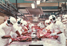 Exportações de MS somam US$ 7,24 bilhões até agosto e carne bovina cresce 43,7% no acumulado do ano Exportações de MS somam US$ 7,24 bilhões até agosto e carne bovina cresce 43,7% no acumulado do ano