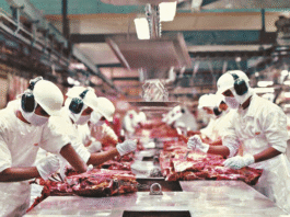 Exportações de MS somam US$ 7,24 bilhões até agosto e carne bovina cresce 43,7% no acumulado do ano