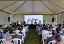 Agricultura familiar em MS vive momento de relevância com programa de sistema agroflorestal e economia de carbono Agricultura familiar em MS vive momento de relevância com programa de sistema agroflorestal e economia de carbono