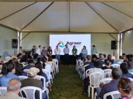 Agricultura familiar em MS vive momento de relevância com programa de sistema agroflorestal e economia de carbono Agricultura familiar em MS vive momento de relevância com programa de sistema agroflorestal e economia de carbono