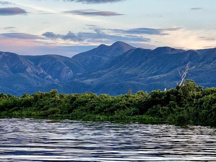 Sanção do Estatuto do Pantanal resolve contestação no Supremo e reafirma legislações estaduais vigentes