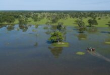 Semadesc divulga resultado preliminar do PSA Conservação com mais de 50 propriedades habilitadas no Pantanal Semadesc divulga resultado preliminar do PSA Conservação com mais de 50 propriedades habilitadas no Pantanal