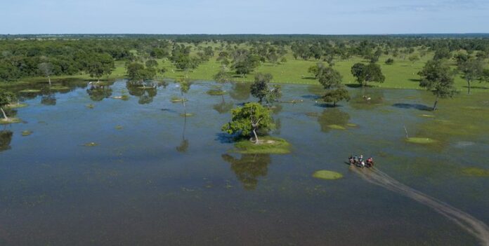 Semadesc divulga resultado preliminar do PSA Conservação com mais de Semadesc divulga resultado preliminar do PSA Conservação com mais de 50 propriedades habilitadas no Pantanal
