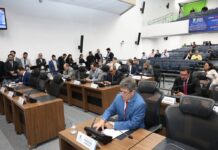 Projeto garante prioridade a mel da agricultura familiar na merenda das escolas estaduais