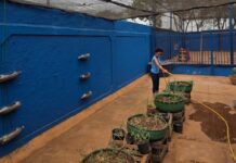 Escola da Reme vence prêmio nacional de educação ambiental